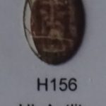 H156